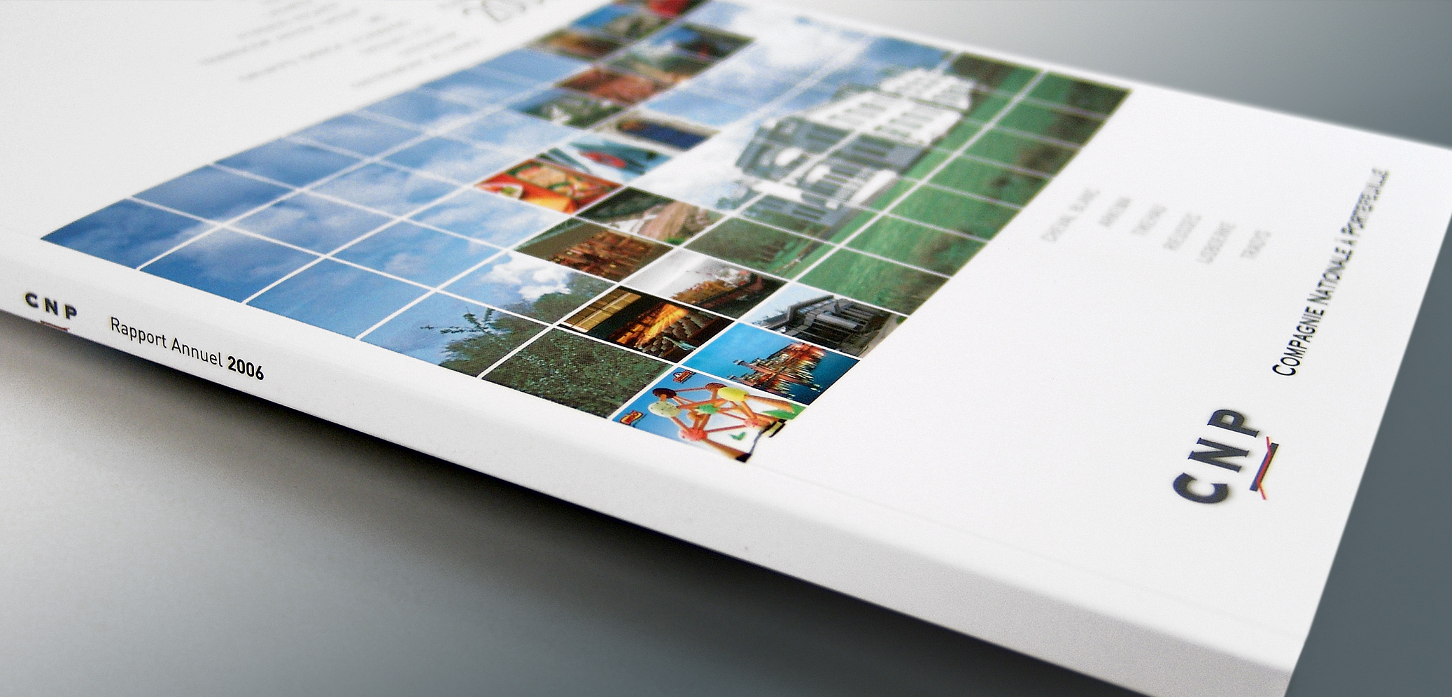 CNP - Annual Report 2006