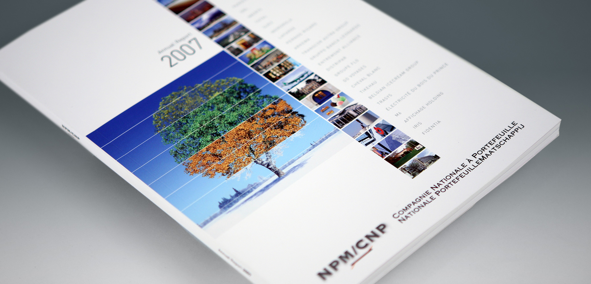 CNP - Annual Report 2007