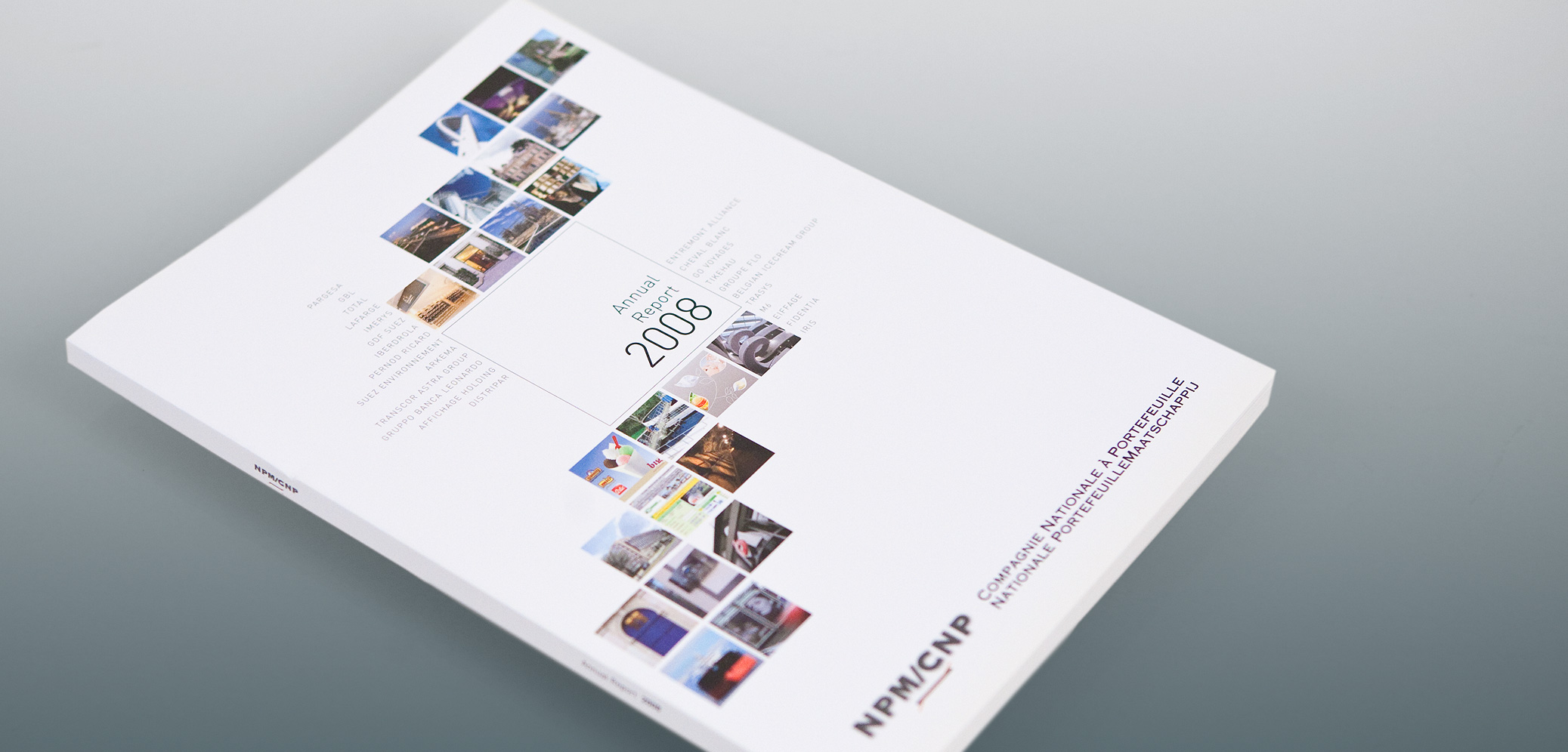 CNP - Annual Report 2008
