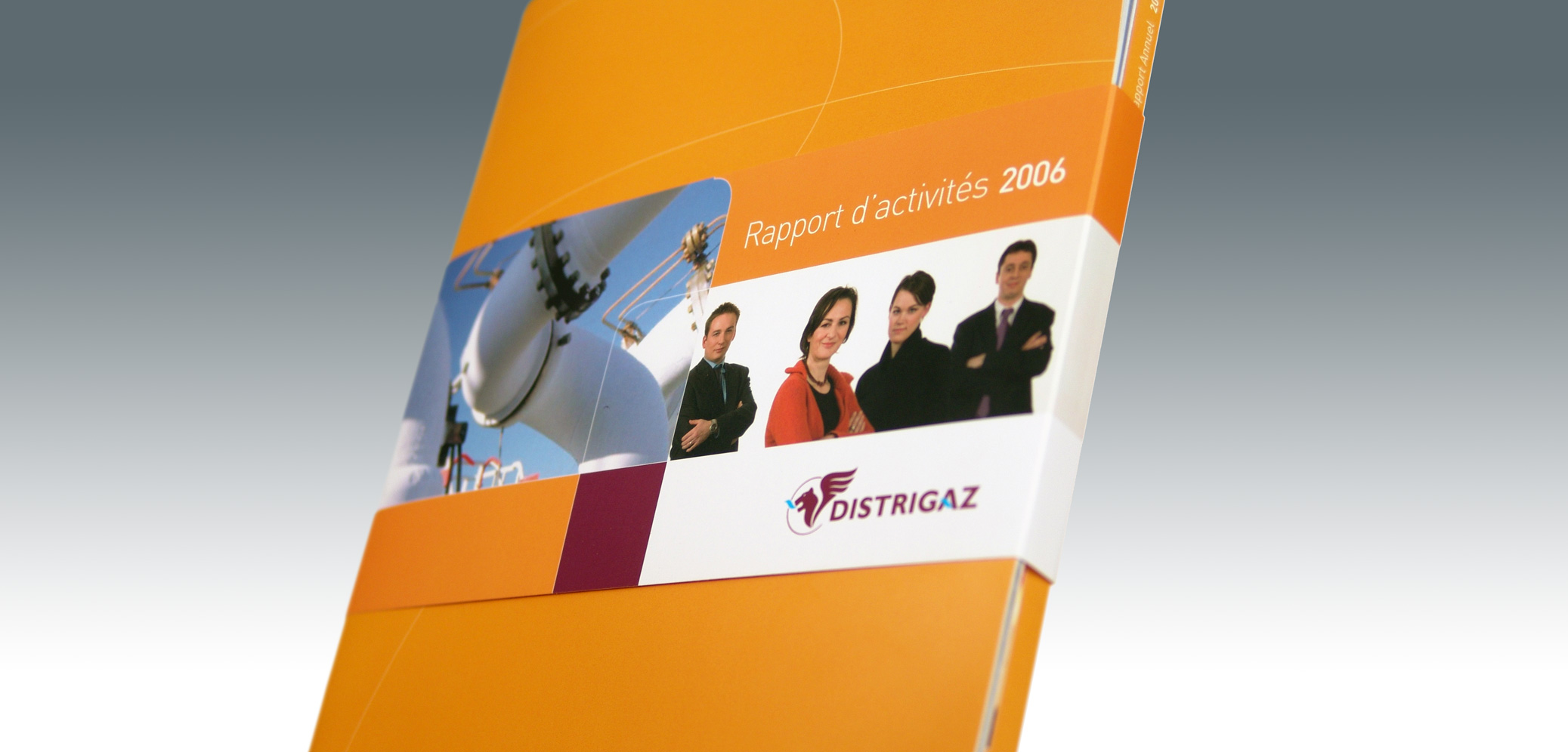 Distrigaz - Annual Report 2006