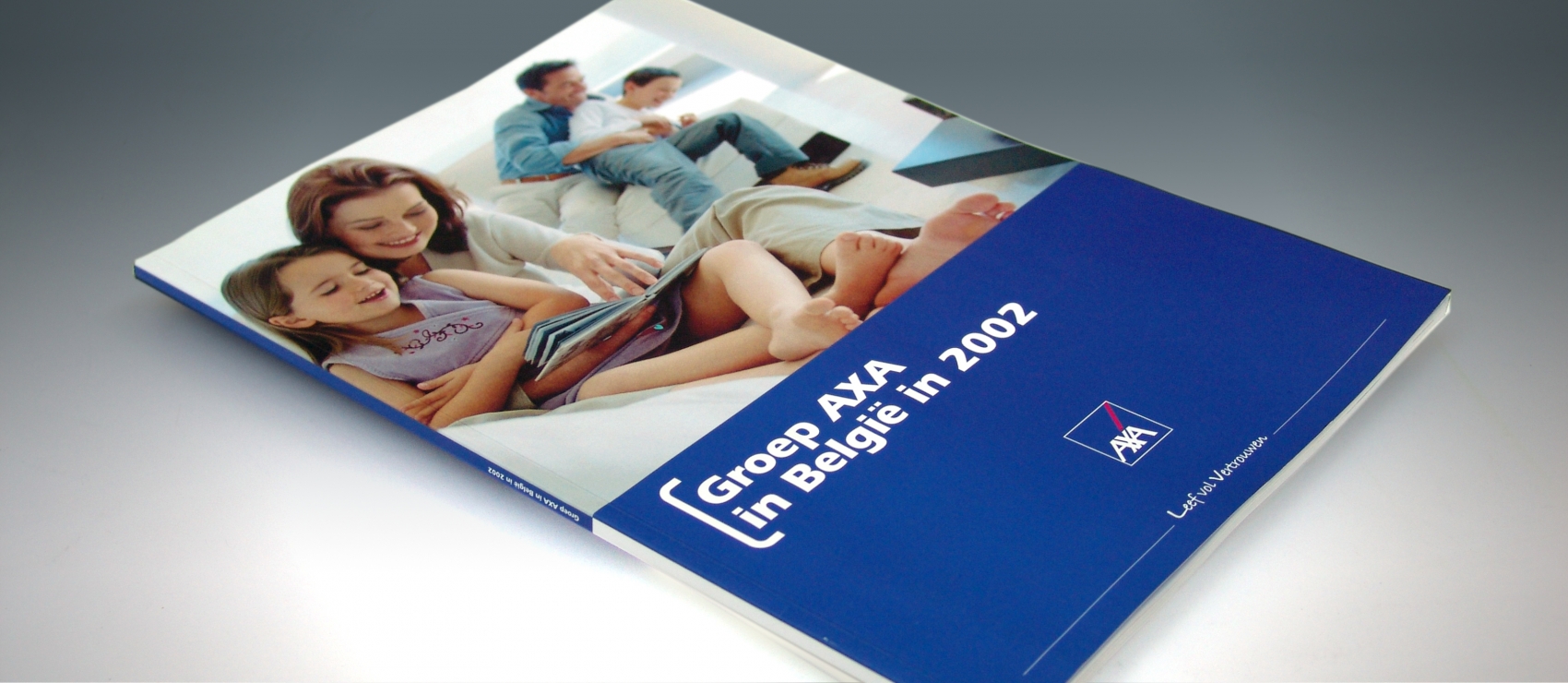 AXA - Annual Report 2002