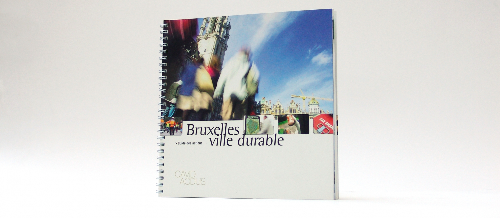 IBGE - Sustainable development brochure