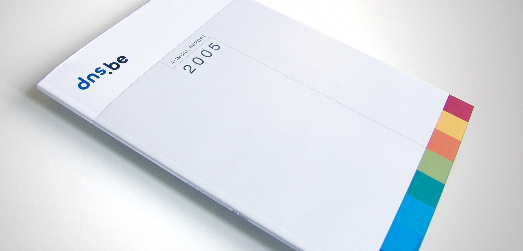 DNS - Annual Report 2005