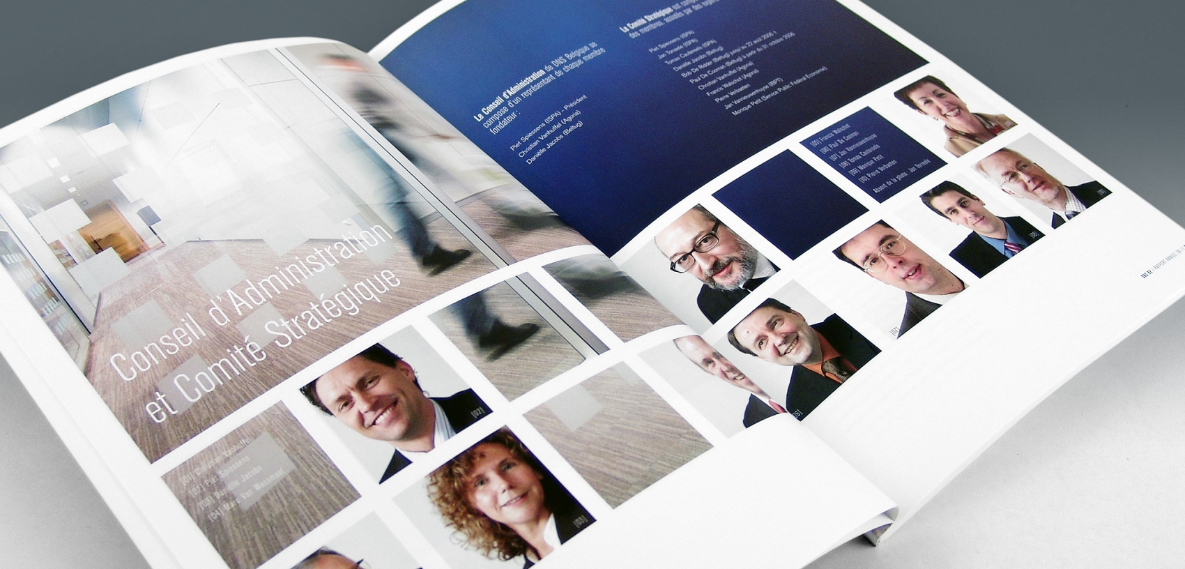 DNS - Annual Report 2006