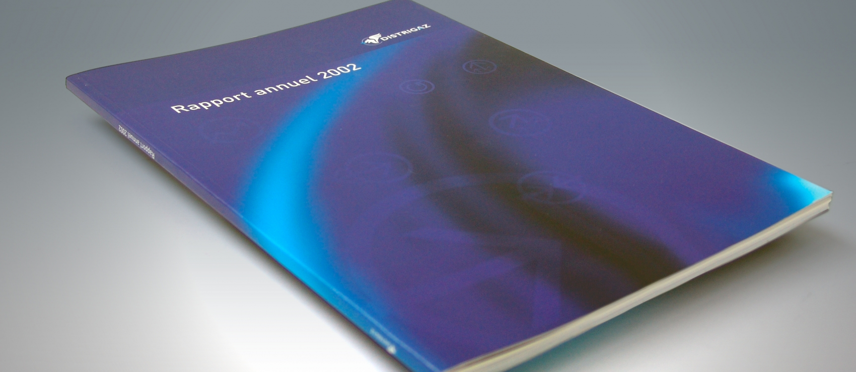 Distrigas - Annual Report 2002