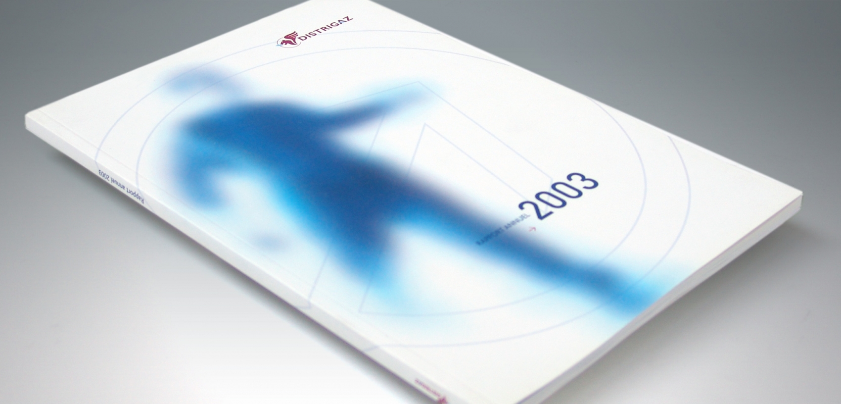 Distrigas - Annual Report 2003