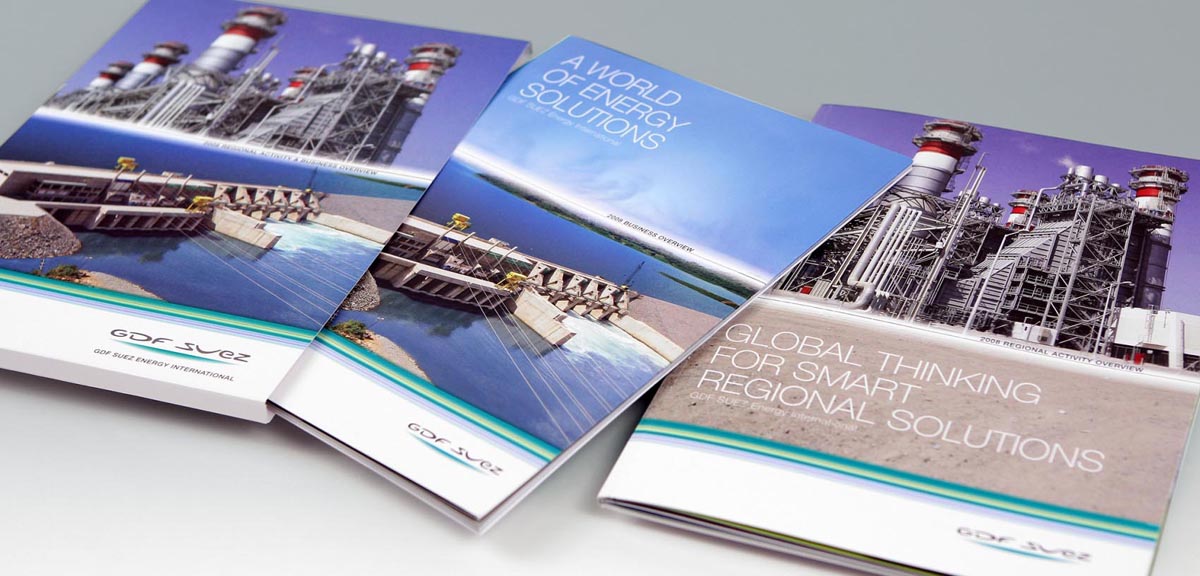 GDF SUEZ - Annual Report 2008