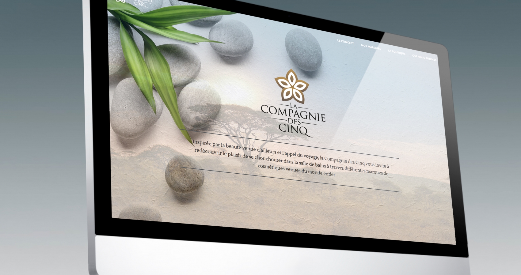 Website - Compagnie des Cinq