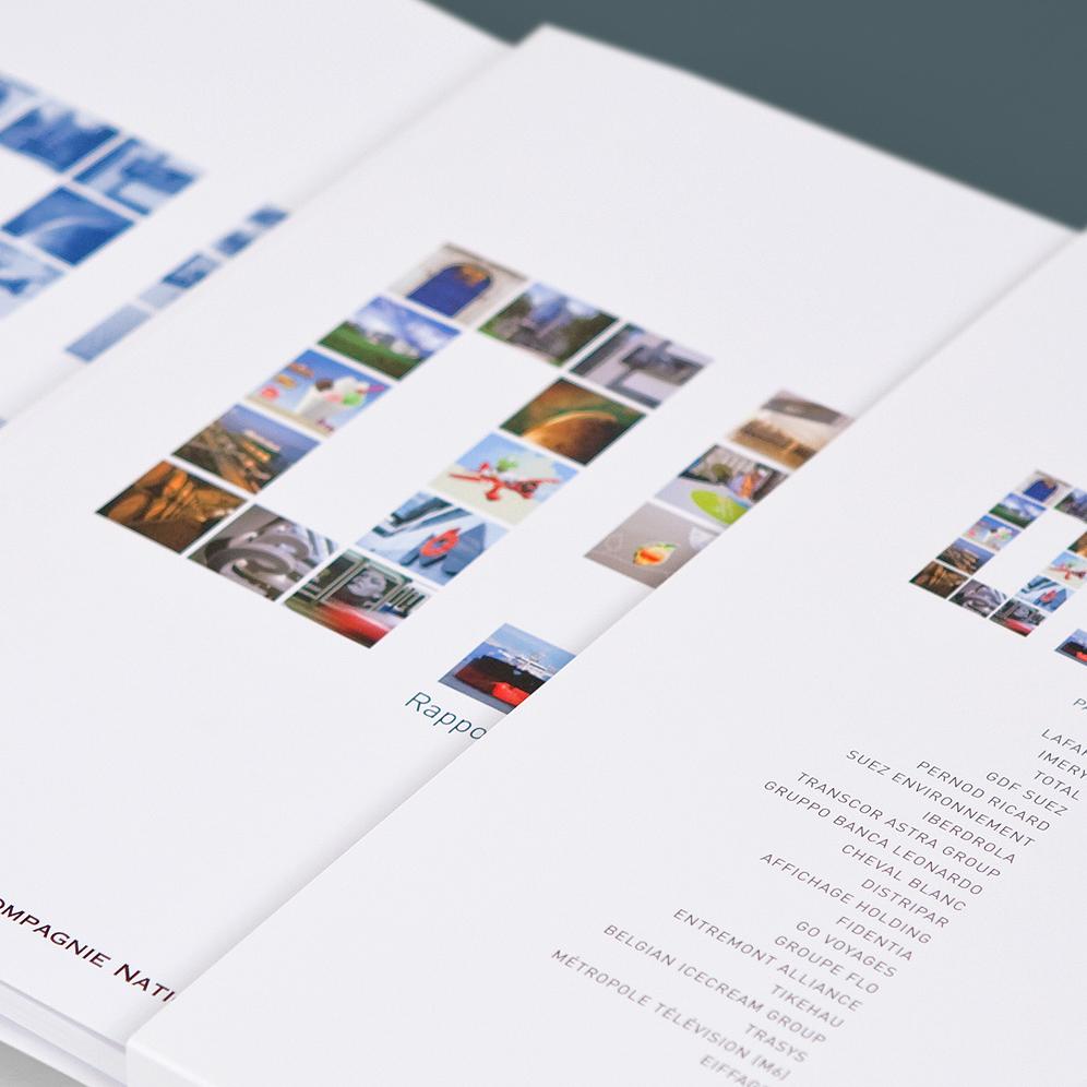 CNP - Annual Report 2009