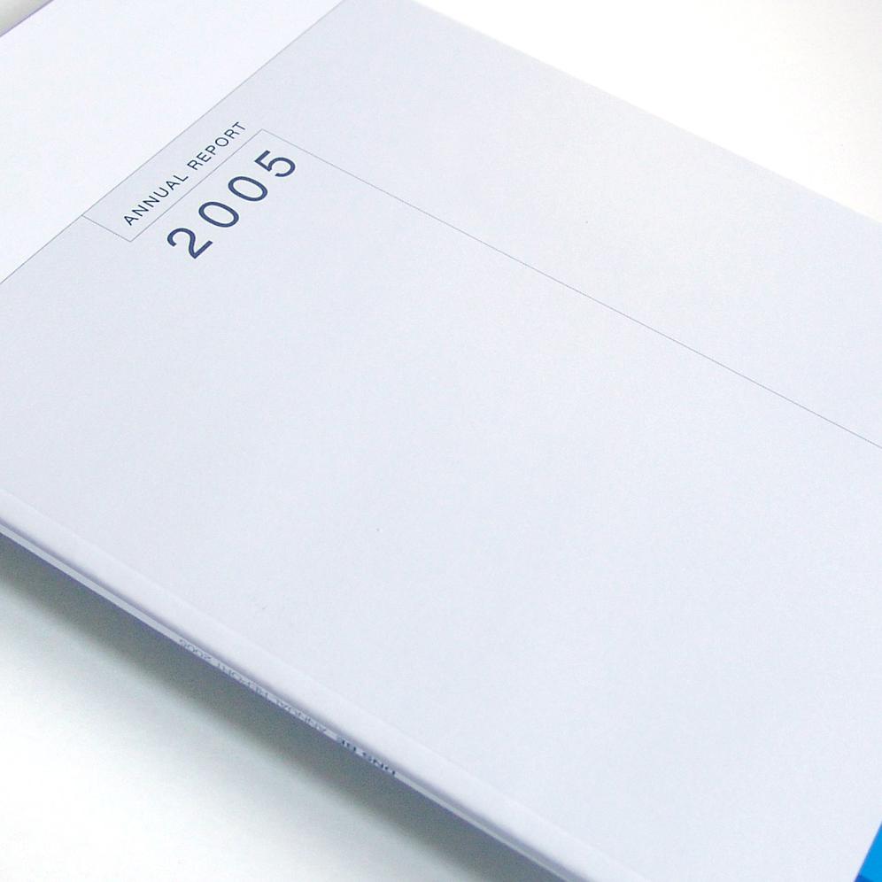 DNS - Annual Report 2005