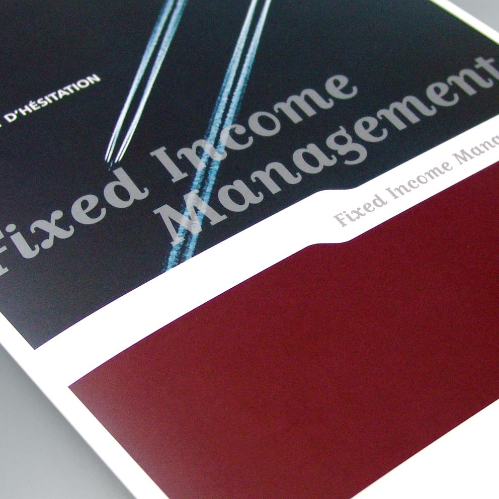 Dexia - Fixed Income Management brochure