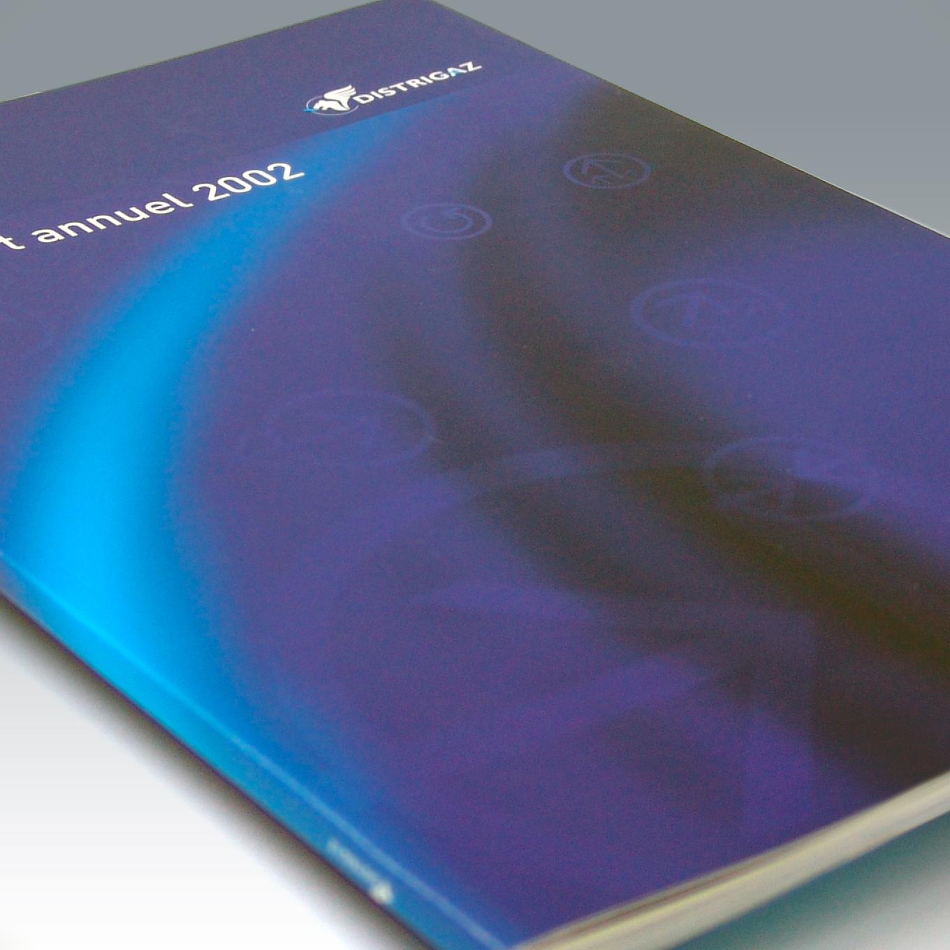 Distrigas - Annual Report 2002