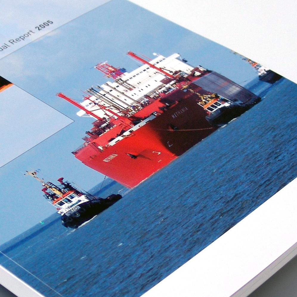 Distrigas - Annual Report 2005