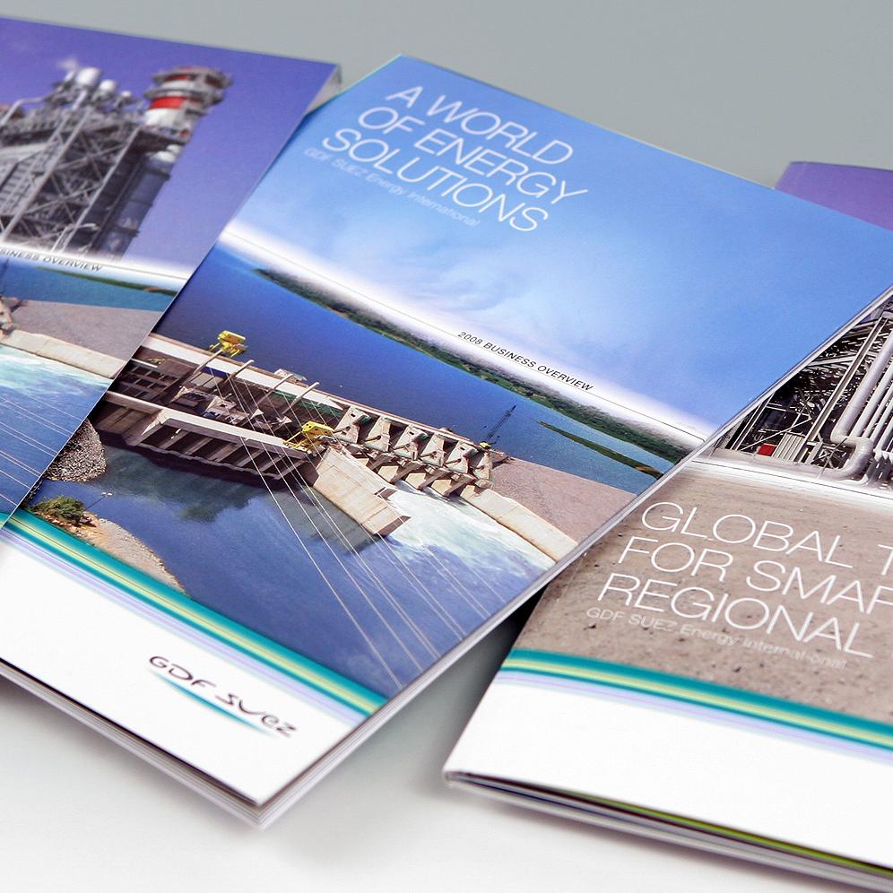 GDF SUEZ - Annual Report 2008